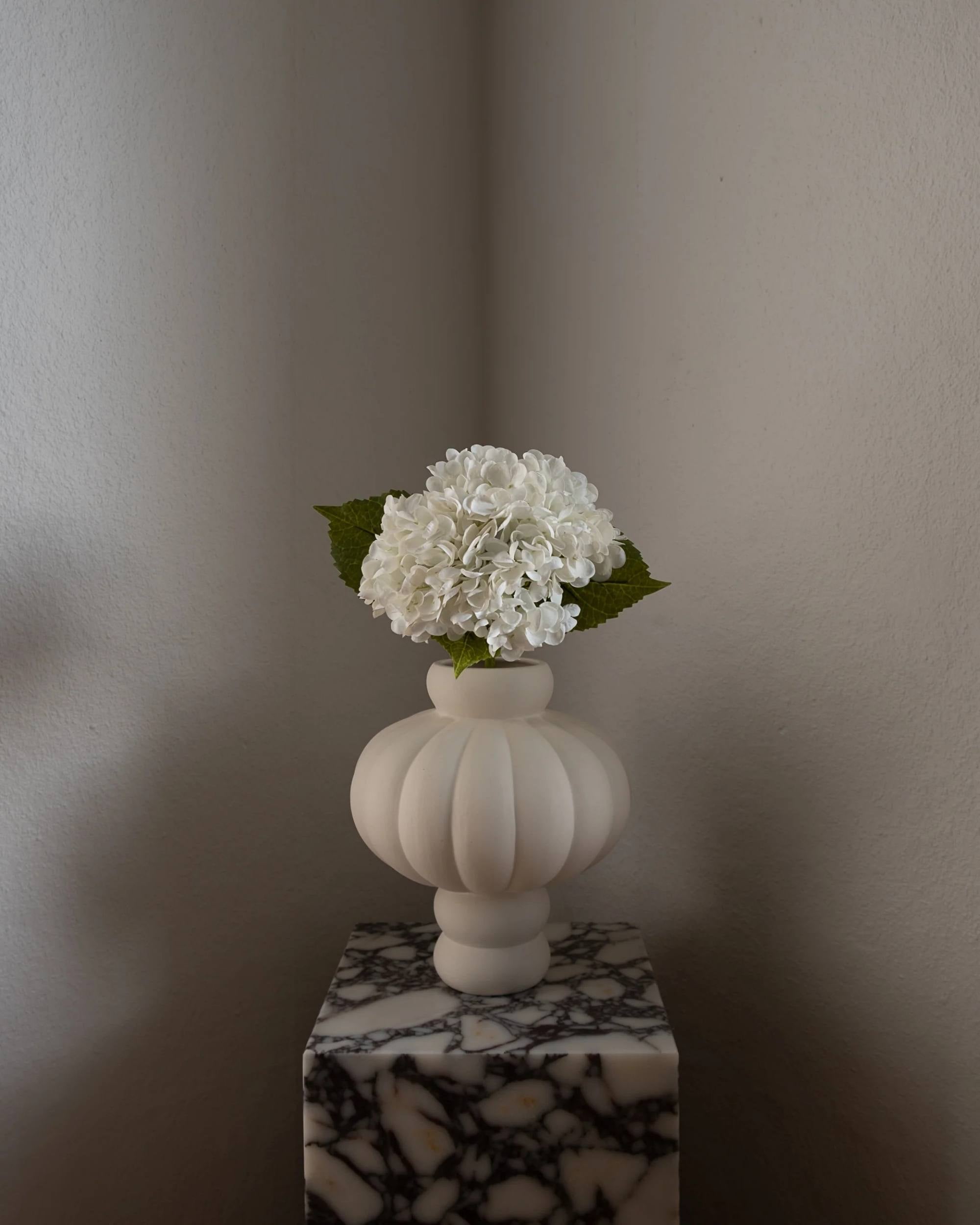 Hortensia fra Amarante (1 stk)