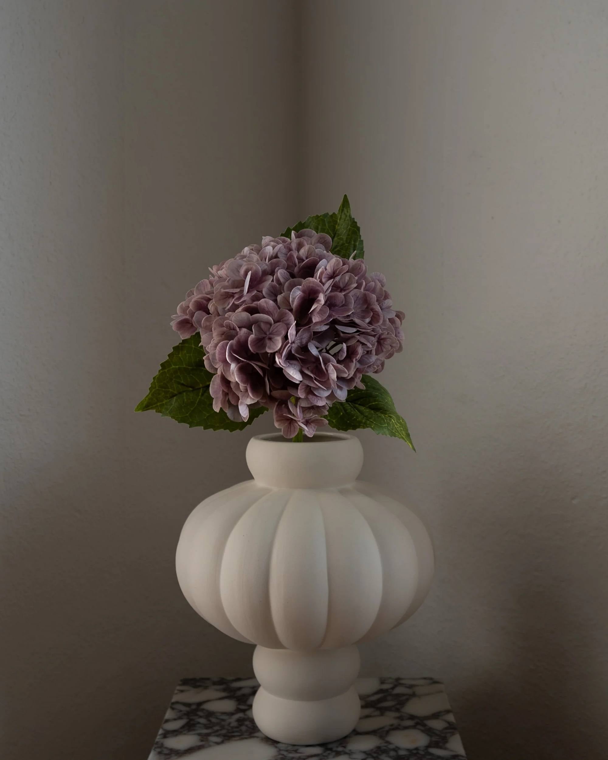 Hortensia fra Amarante (1 stk)