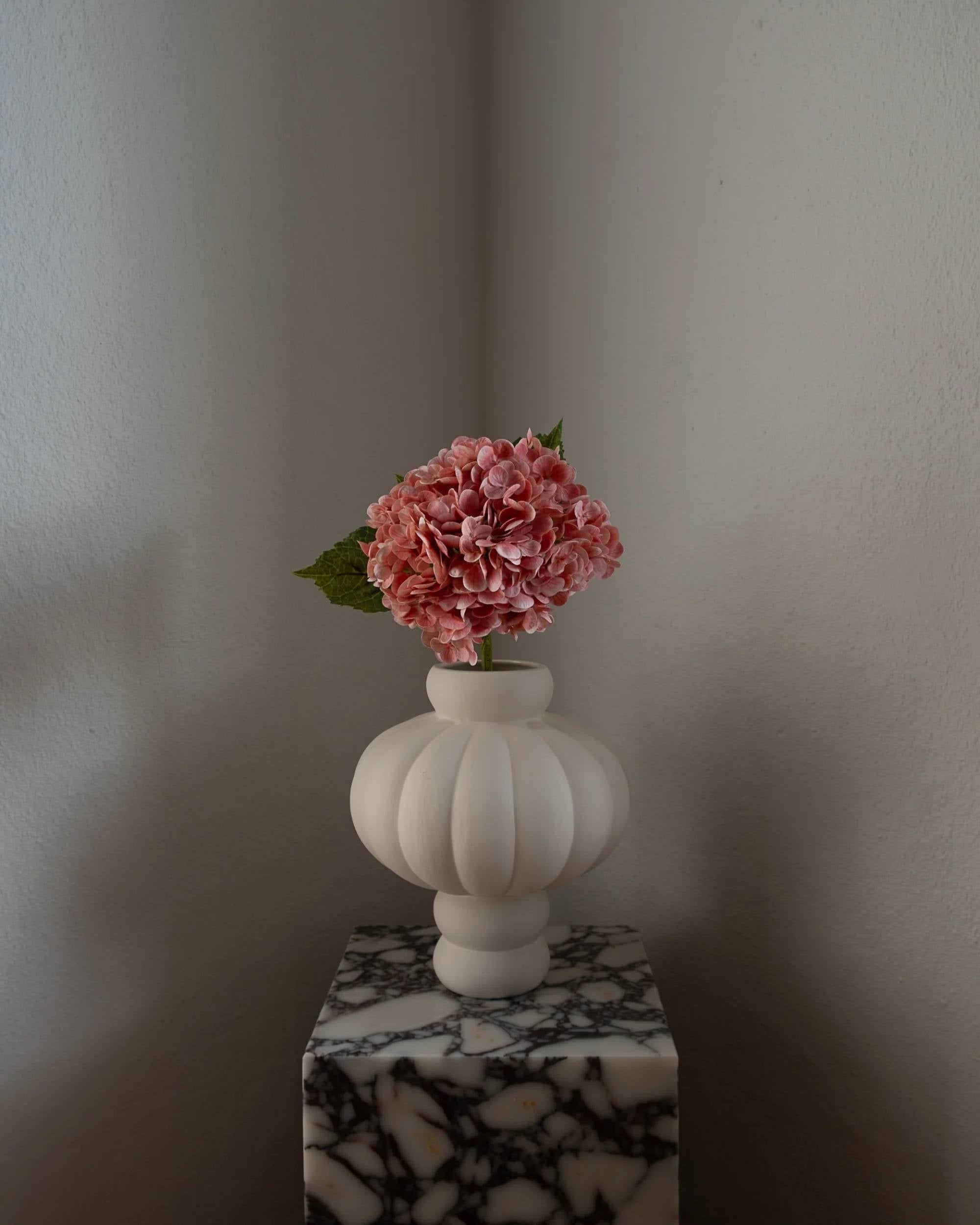 Hortensia fra Amarante (1 stk)