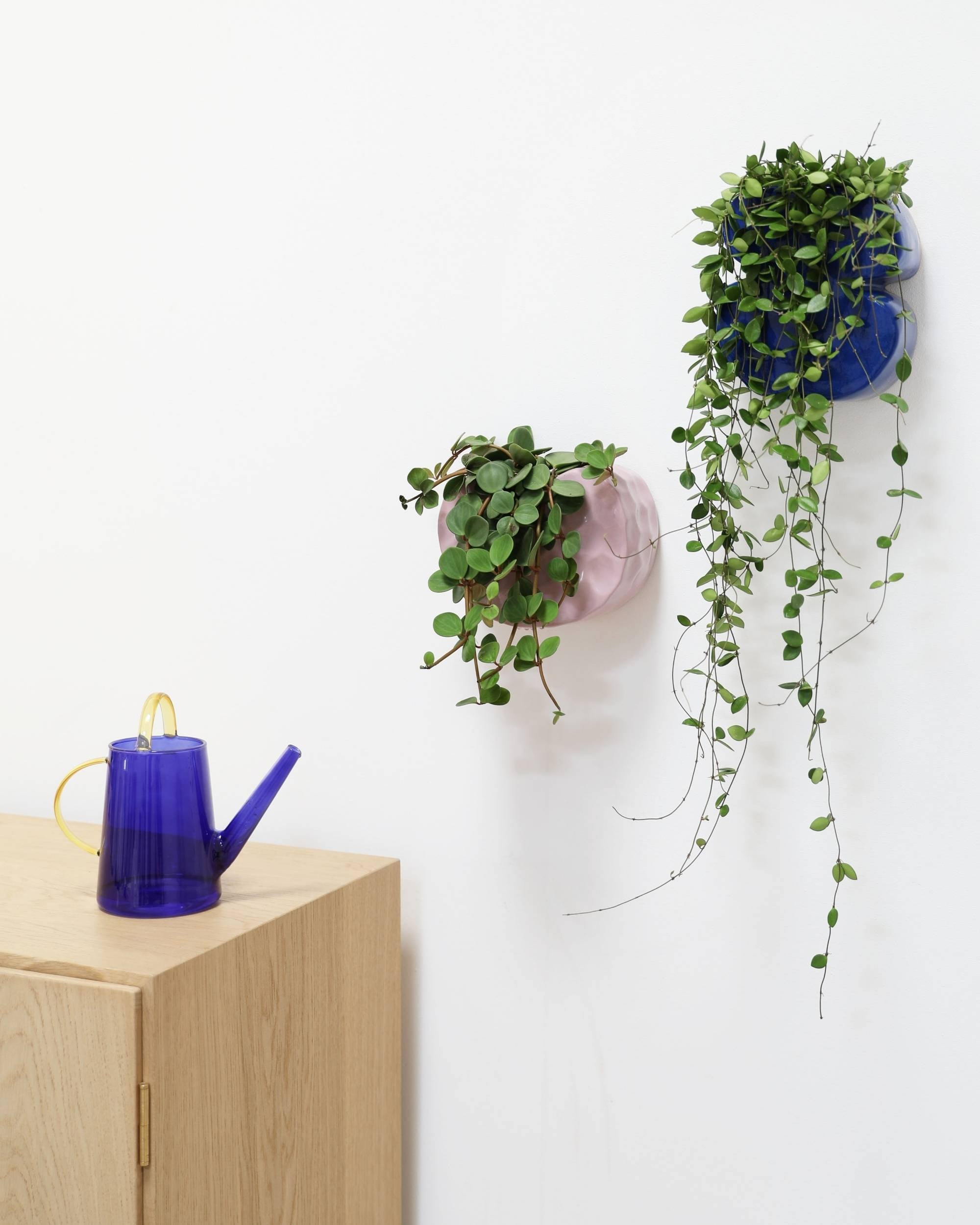 Vannkanne, Loop blå