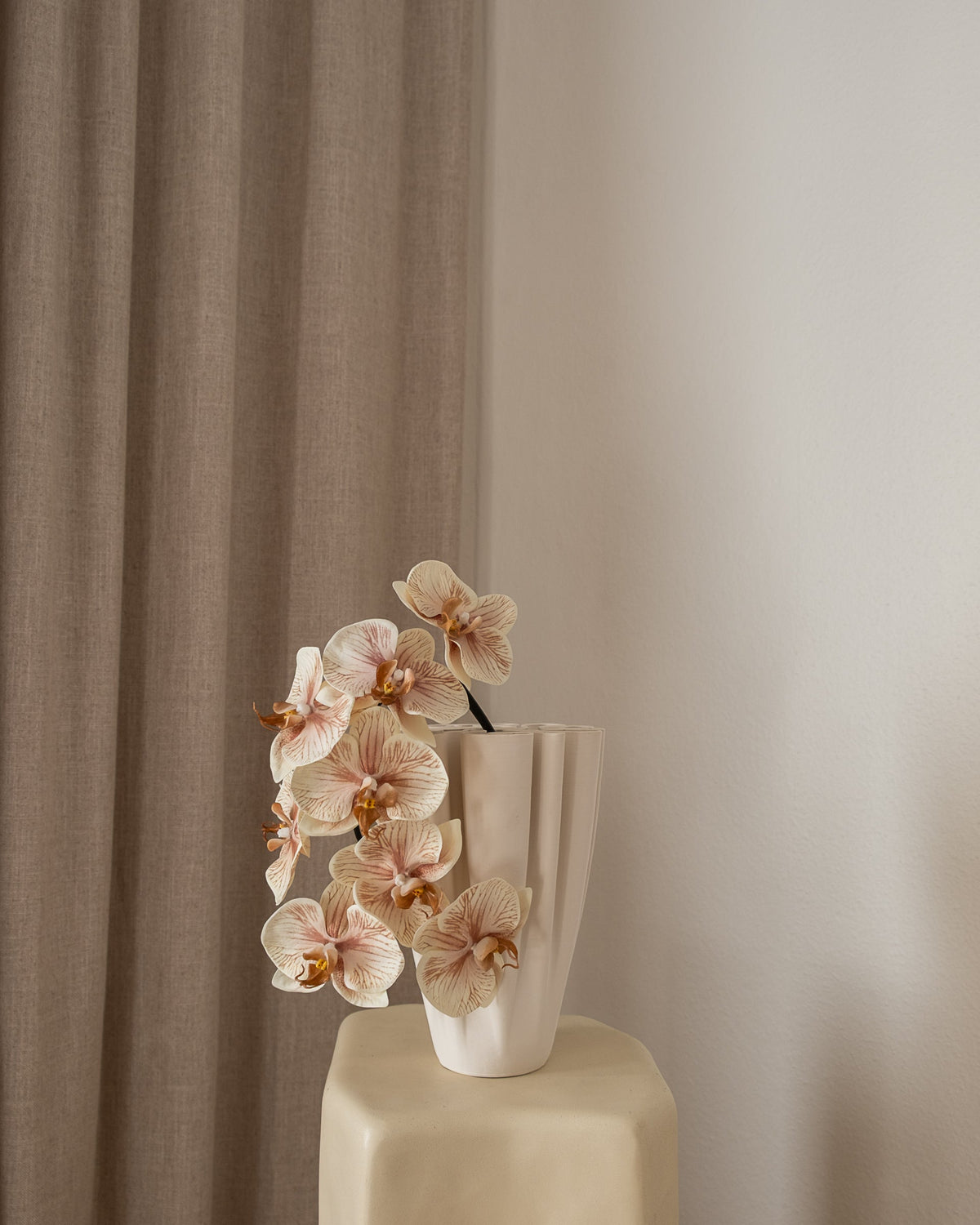 Orkidé “Peach” fra Amarante – Single Flower