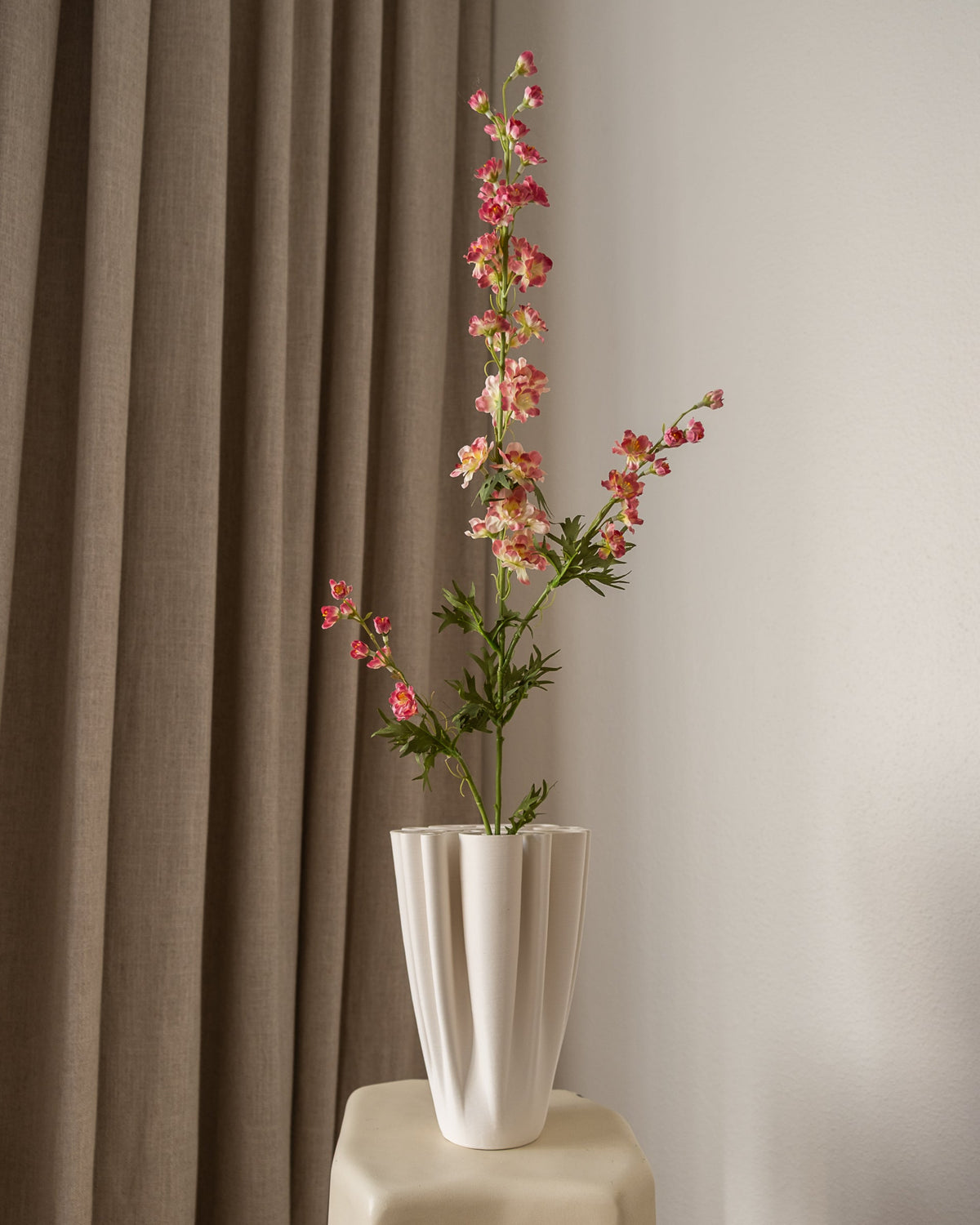 Delphinium (lang) Rosa fra Amarante