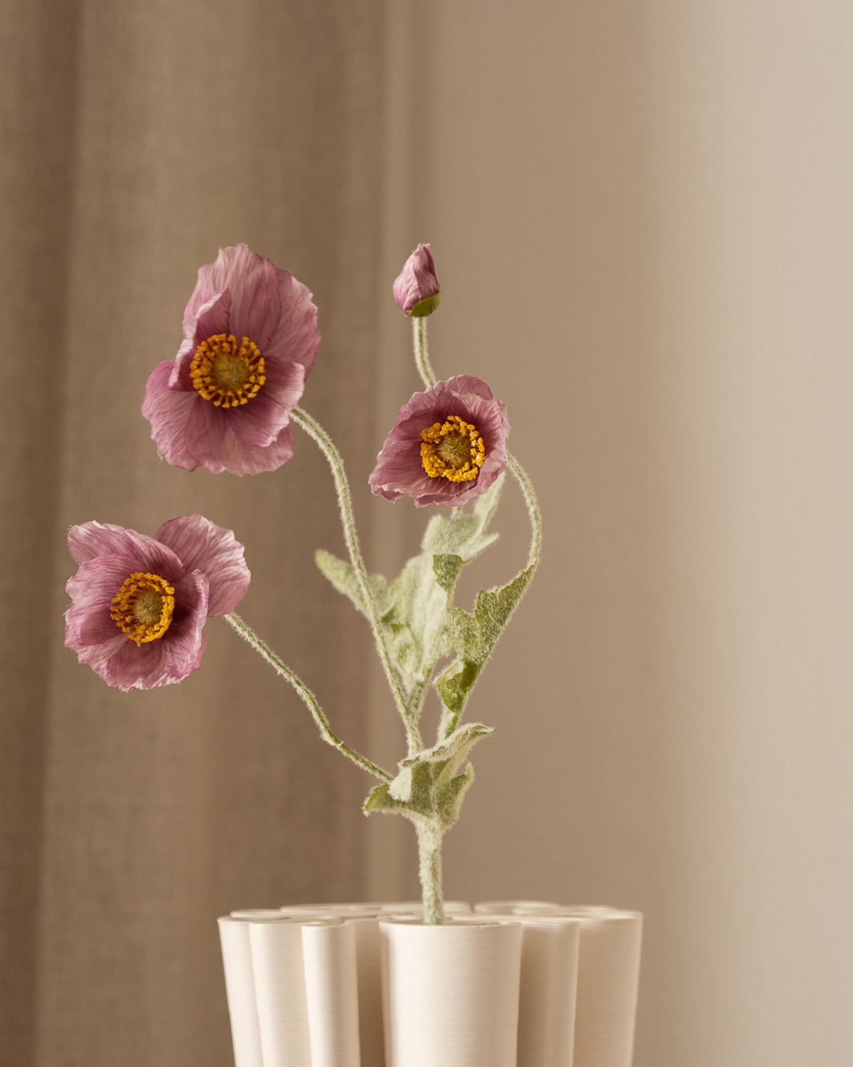 Valmueblomst lilla fra Amarante sett forfra