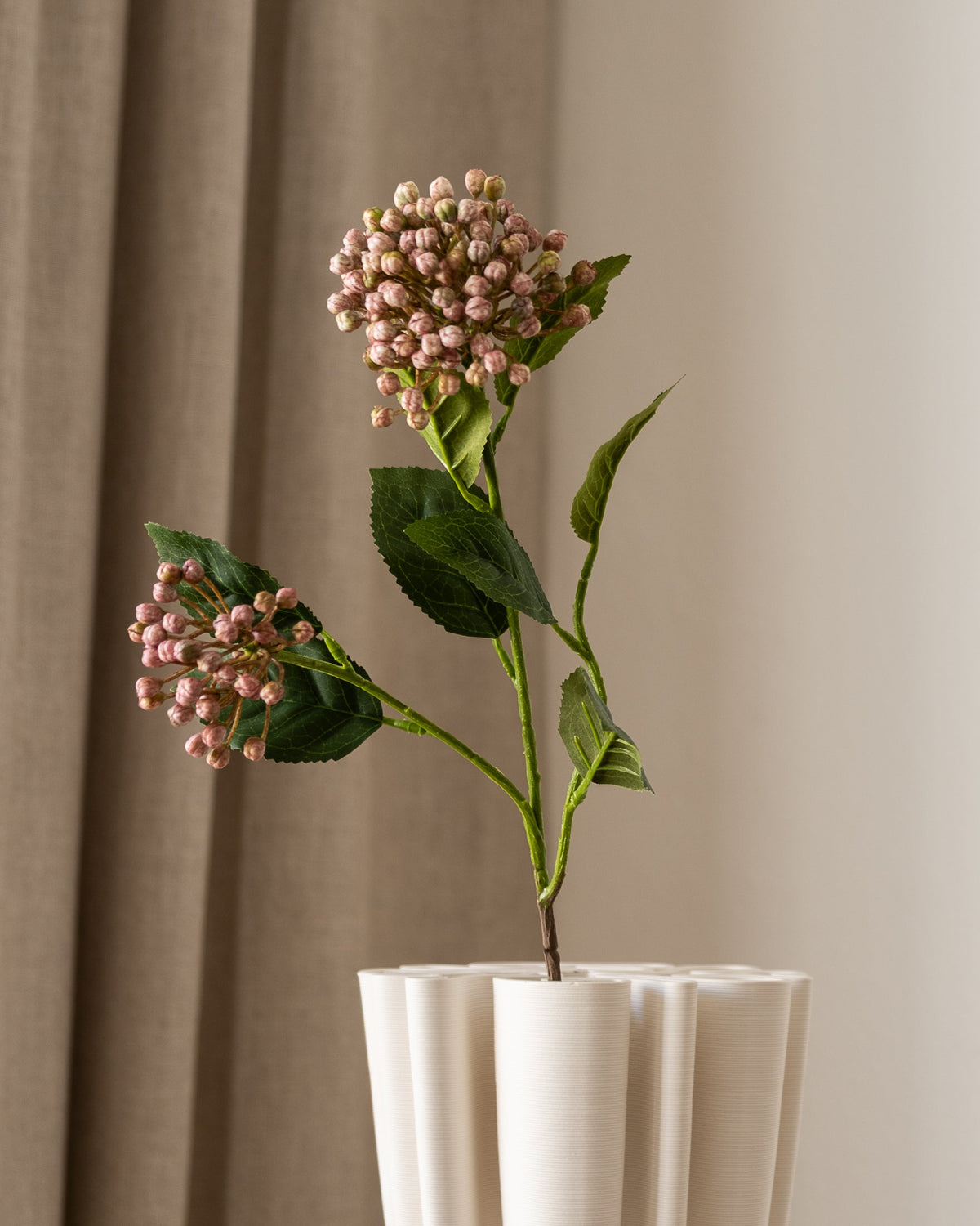 Hortensia bærgren rosa fra Amarante sett forfra