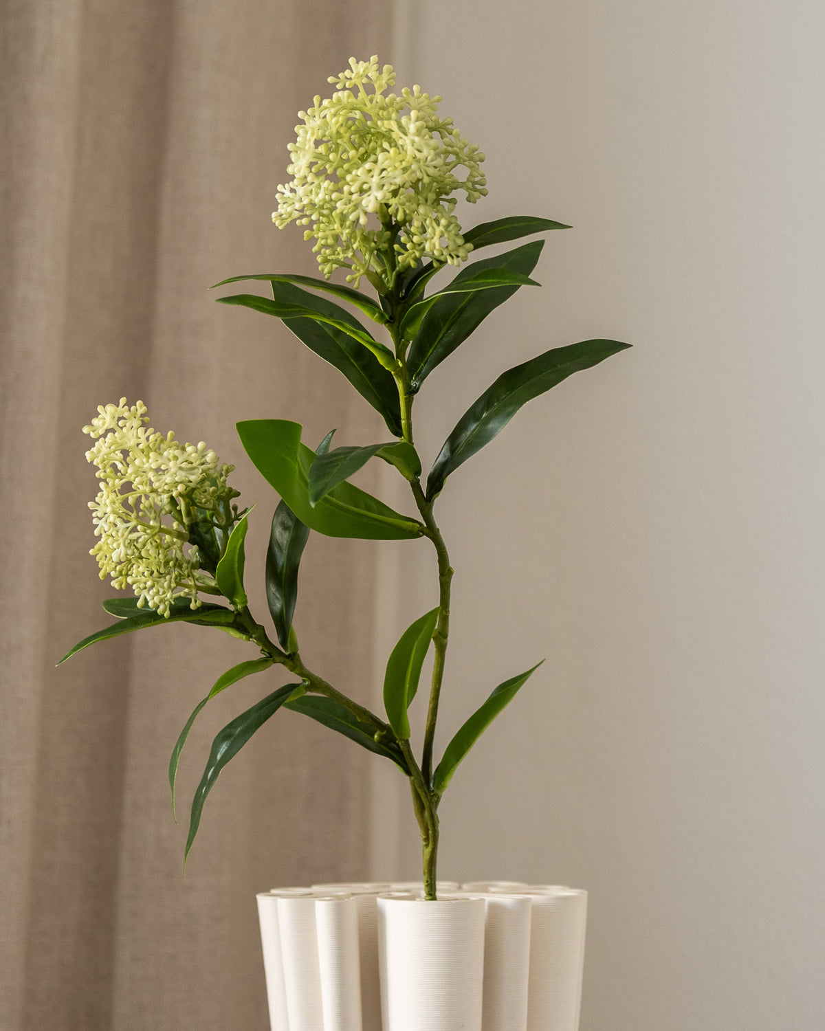 Detalj av Amarante Skimmia bærgren i hvitgrønn kunstig blomst, tette klaser med runde bær og mørkegrønne blader