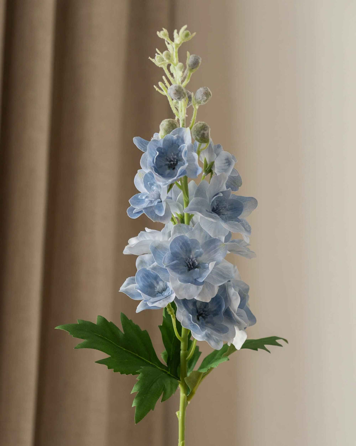 Delphinium (kort) fra Amarante