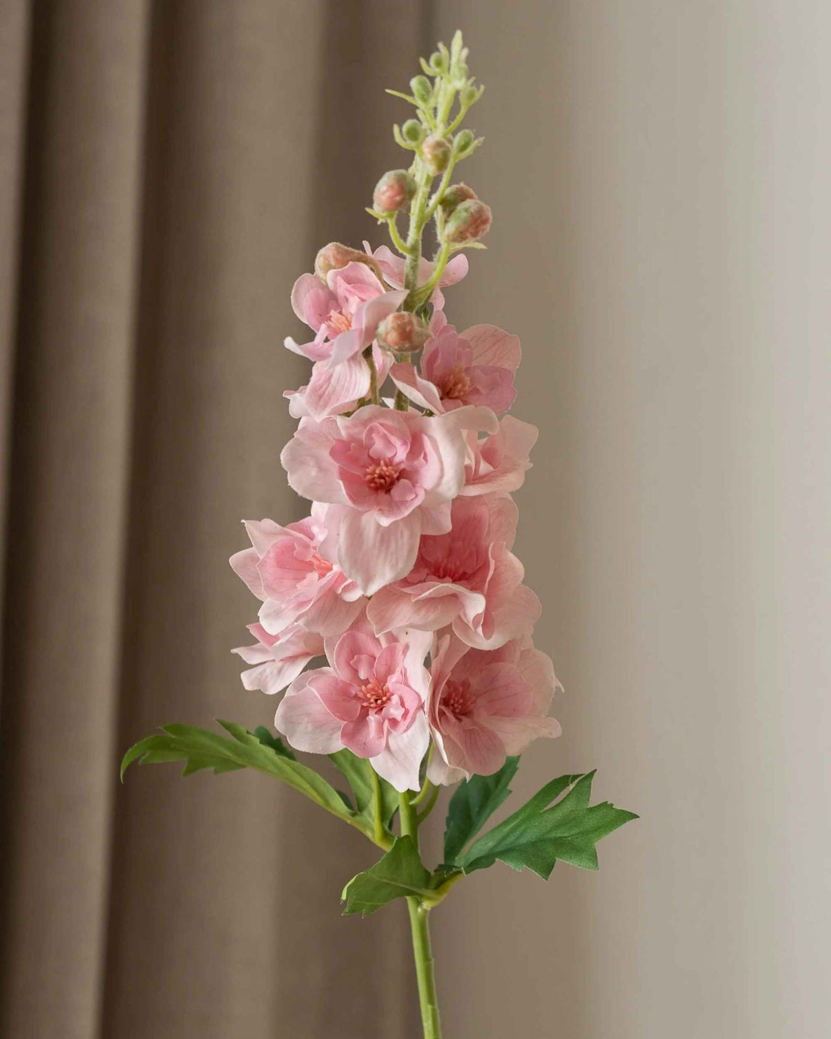 Delphinium (kort) fra Amarante