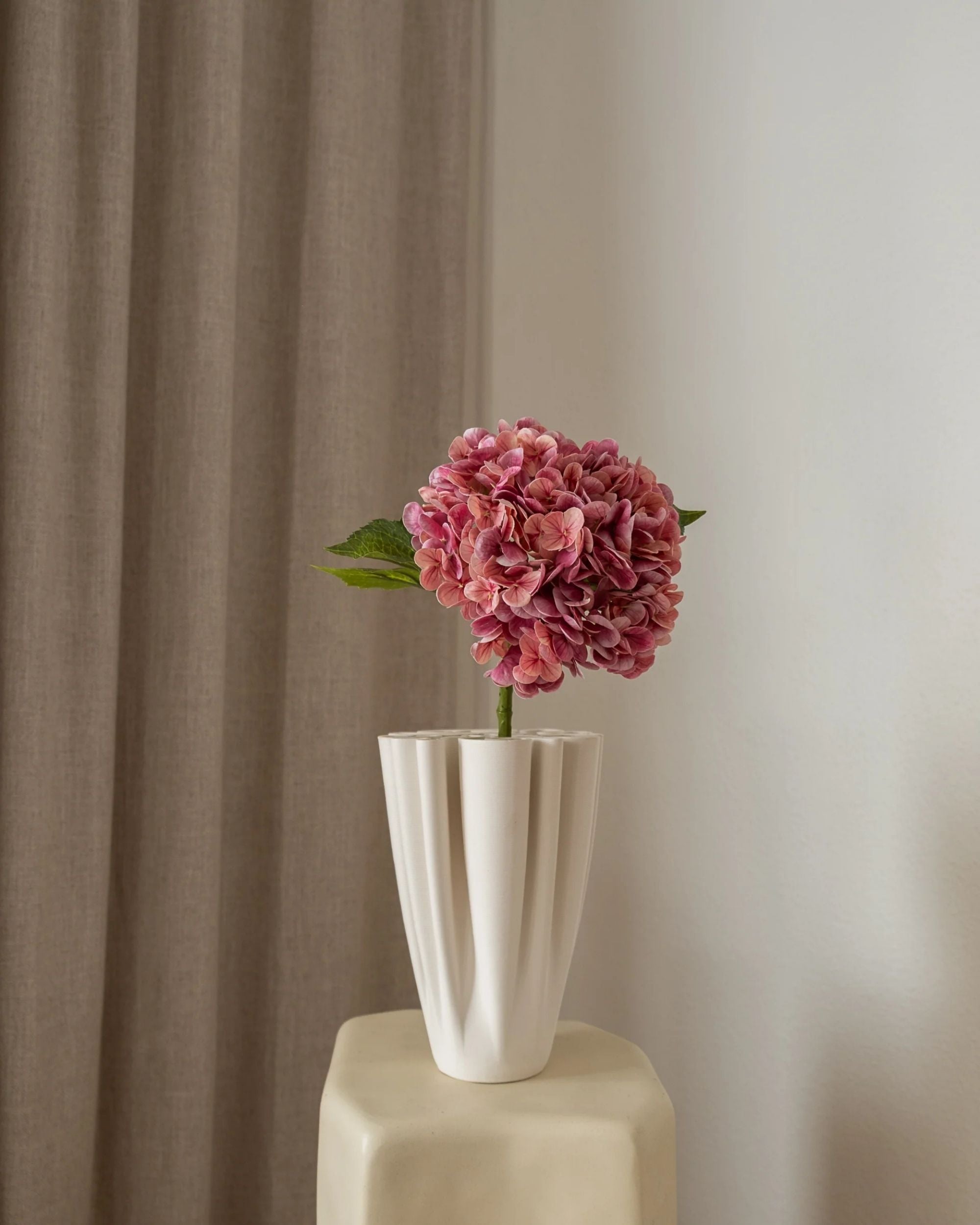 Hortensia fra Amarante (1 stk)