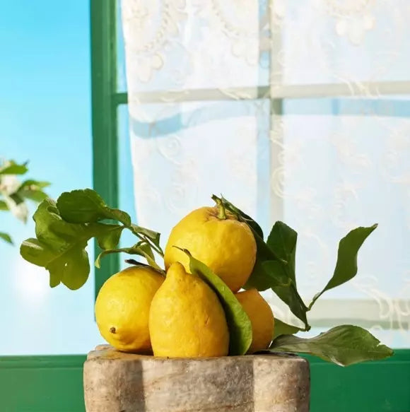 Duft av sitroner på den flytenden såpen sicilian lemon