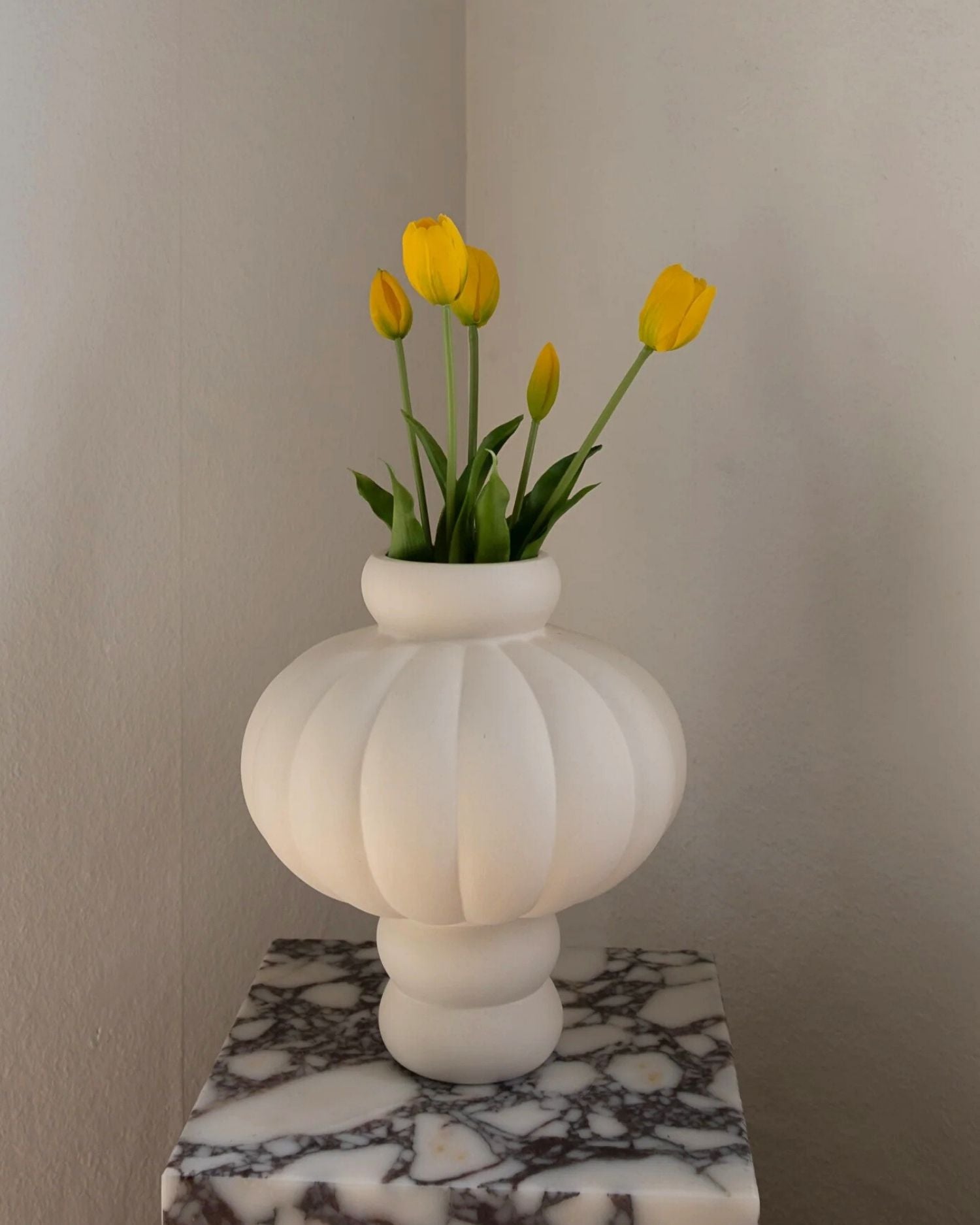 Tulipaner fra Amarante