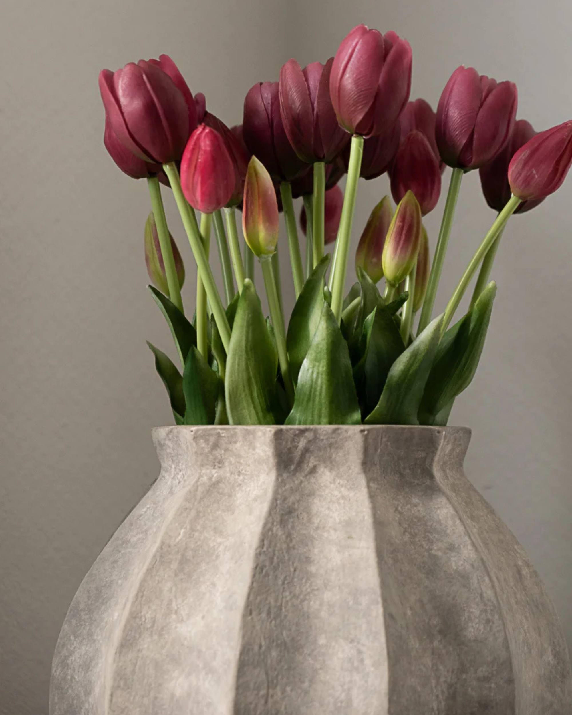 Tulipaner fra Amarante
