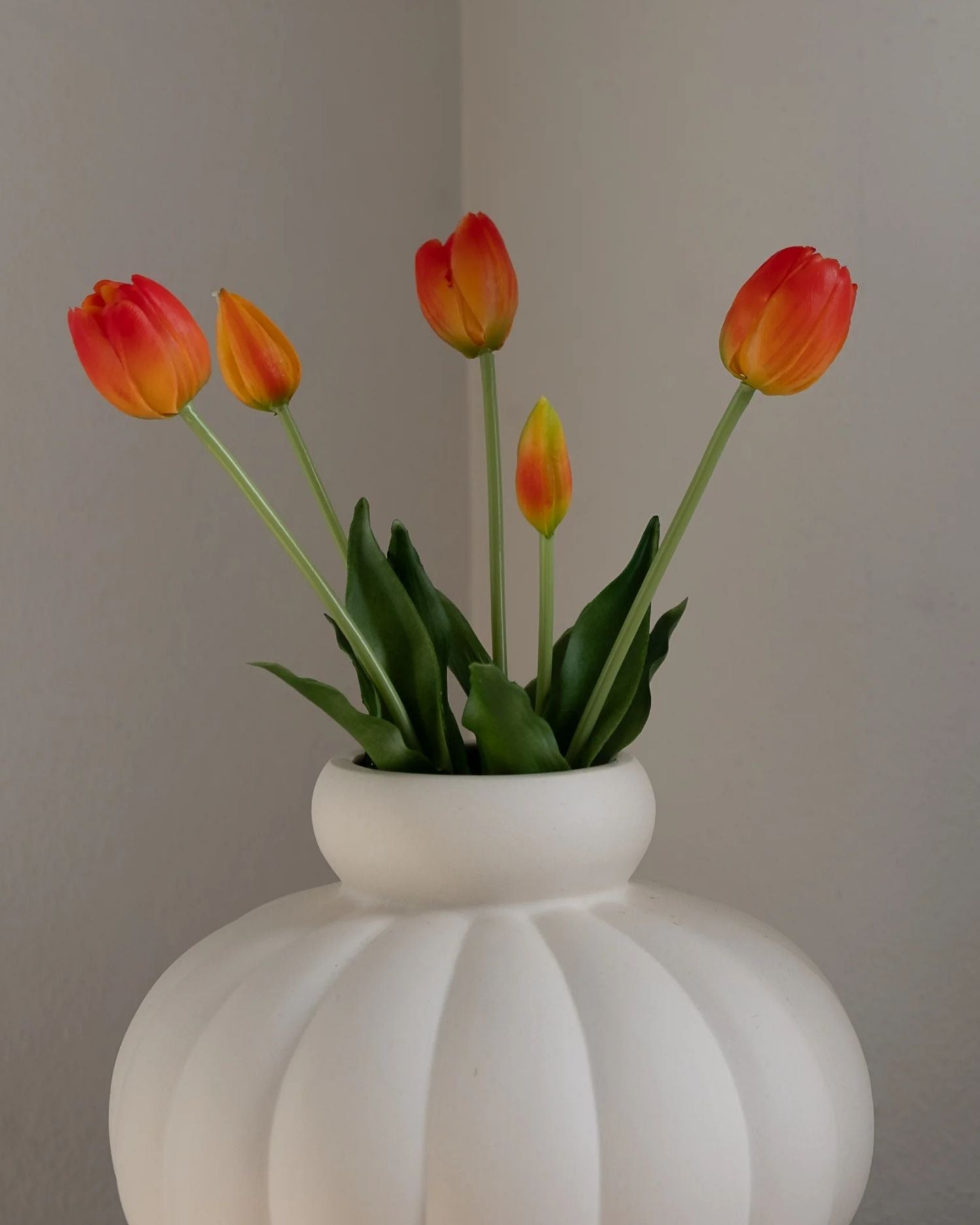 Tulipaner fra Amarante