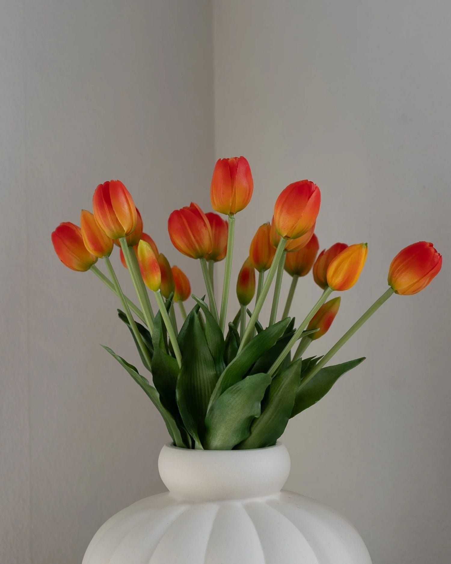 Tulipaner fra Amarante