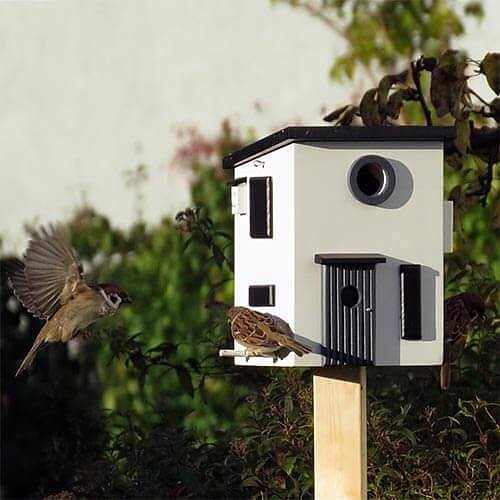 Fra wildlifegarden kommer dette fuglehuset i funkis stil