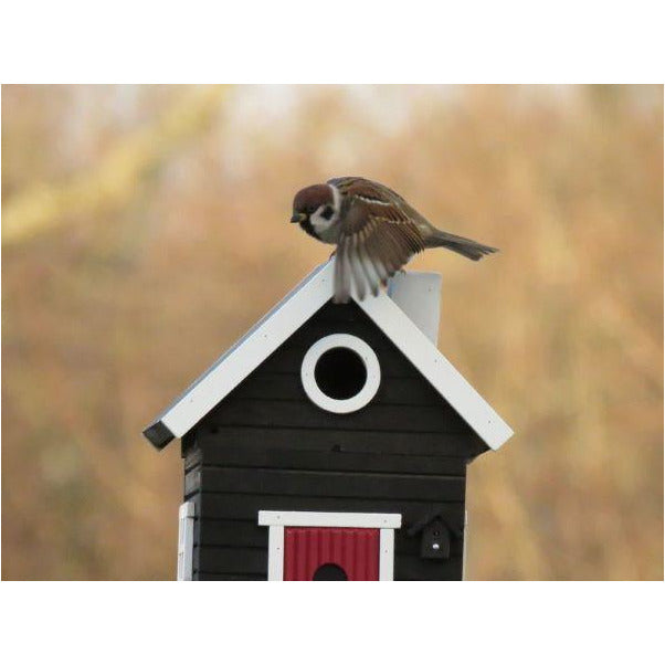 Fugl og hus på fuglebrettet fra wildlifegarden